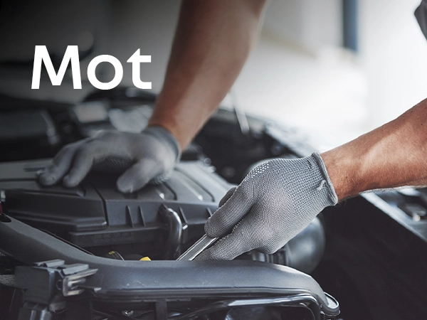 Renault MOT